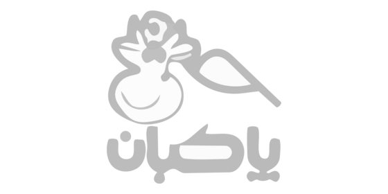 لوگوی مشتری 9