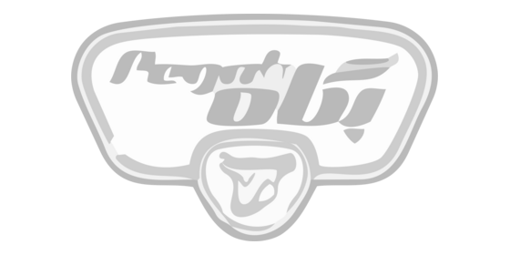لوگوی مشتری 10