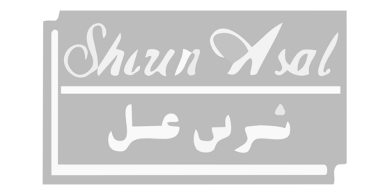 لوگوی مشتری 13