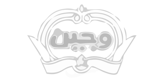 لوگوی مشتری 21
